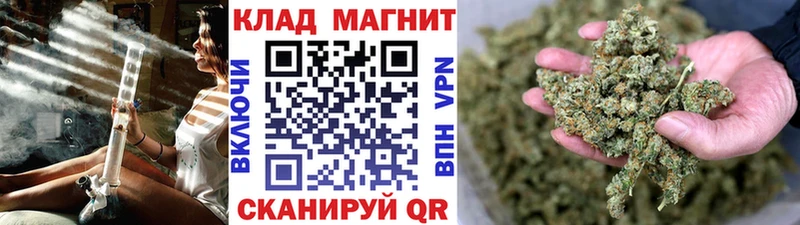 Магазины продажи наркотиков Дубна Гашиш  Alpha PVP  Меф  Амфетамин  КОКАИН  Конопля 