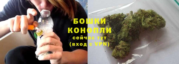 спиды Горняк