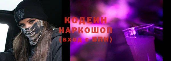 ГАЛЛЮЦИНОГЕННЫЕ ГРИБЫ Инсар