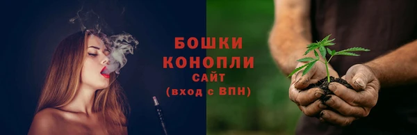 твердый Горнозаводск