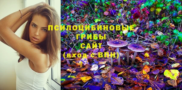 спиды Горняк