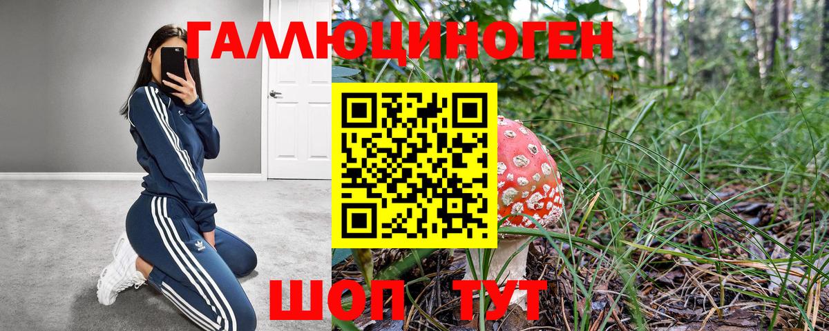 Галлюциногенные грибы Magic Shrooms  Вход с VPN  Дубна 